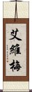 Ivy Mae Scroll