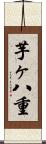 芋ヶ八重 Scroll