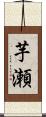 芋瀬 Scroll