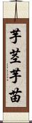 芋茎 Scroll