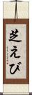 芝えび Scroll
