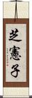 芝憲子 Scroll