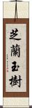 芝蘭玉樹 Scroll