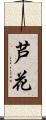 芦花 Scroll