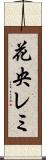 花央レミ Scroll