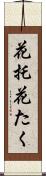 花托 Scroll