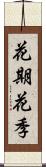 花期 Scroll