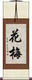 花梅 Scroll