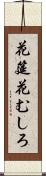 花筵 Scroll