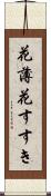 花薄 Scroll