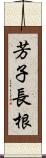 芳子長根 Scroll