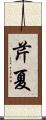 芹夏 Scroll