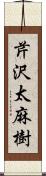芹沢太麻樹 Scroll