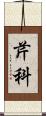 芹科 Scroll