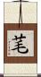 芼 Scroll