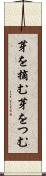 芽を摘む Scroll