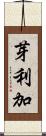 芽利加 Scroll