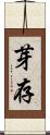 芽存 Scroll
