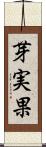 芽実果 Scroll