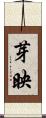 芽映 Scroll