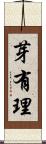 芽有理 Scroll