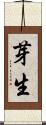 芽生 Scroll