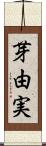 芽由実 Scroll