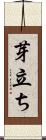 芽立ち Scroll