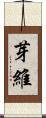 芽維 Scroll