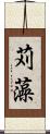 苅藻 Scroll