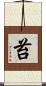 苔 Scroll