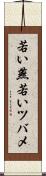 若い燕 Scroll