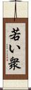 若い衆 Scroll
