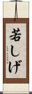 若しげ Scroll