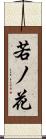 若ノ花 Scroll