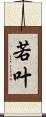 若叶 Scroll