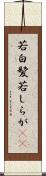 若白髪 Scroll