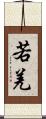 若羌 Scroll
