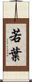 若葉 Scroll