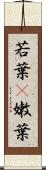 若葉(P) Scroll