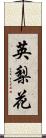 英梨花 Scroll