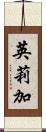 英莉加 Scroll