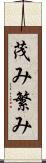 茂み Scroll