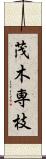 茂木専枝 Scroll