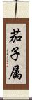 茄子属 Scroll