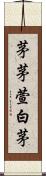 茅 Scroll