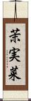 茉実菜 Scroll