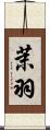 茉羽 Scroll