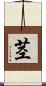 茎 Scroll