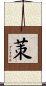茦 Scroll